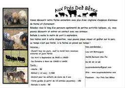 Aux près des bêtes